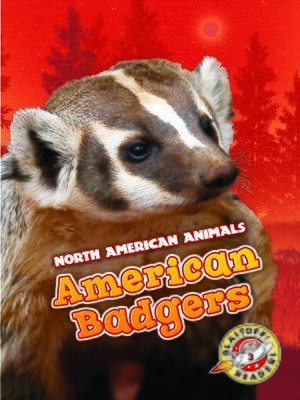 cover image of American Badgers
